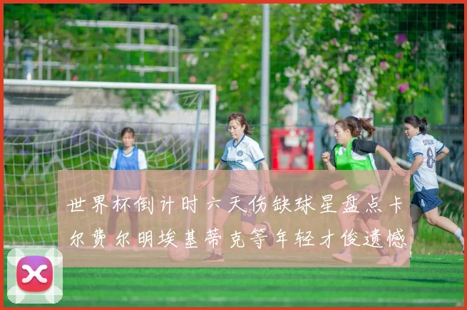 世界杯倒计时六天伤缺球星盘点卡尔费尔明埃基蒂克等年轻才俊遗憾缺席